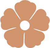 Amapola flower